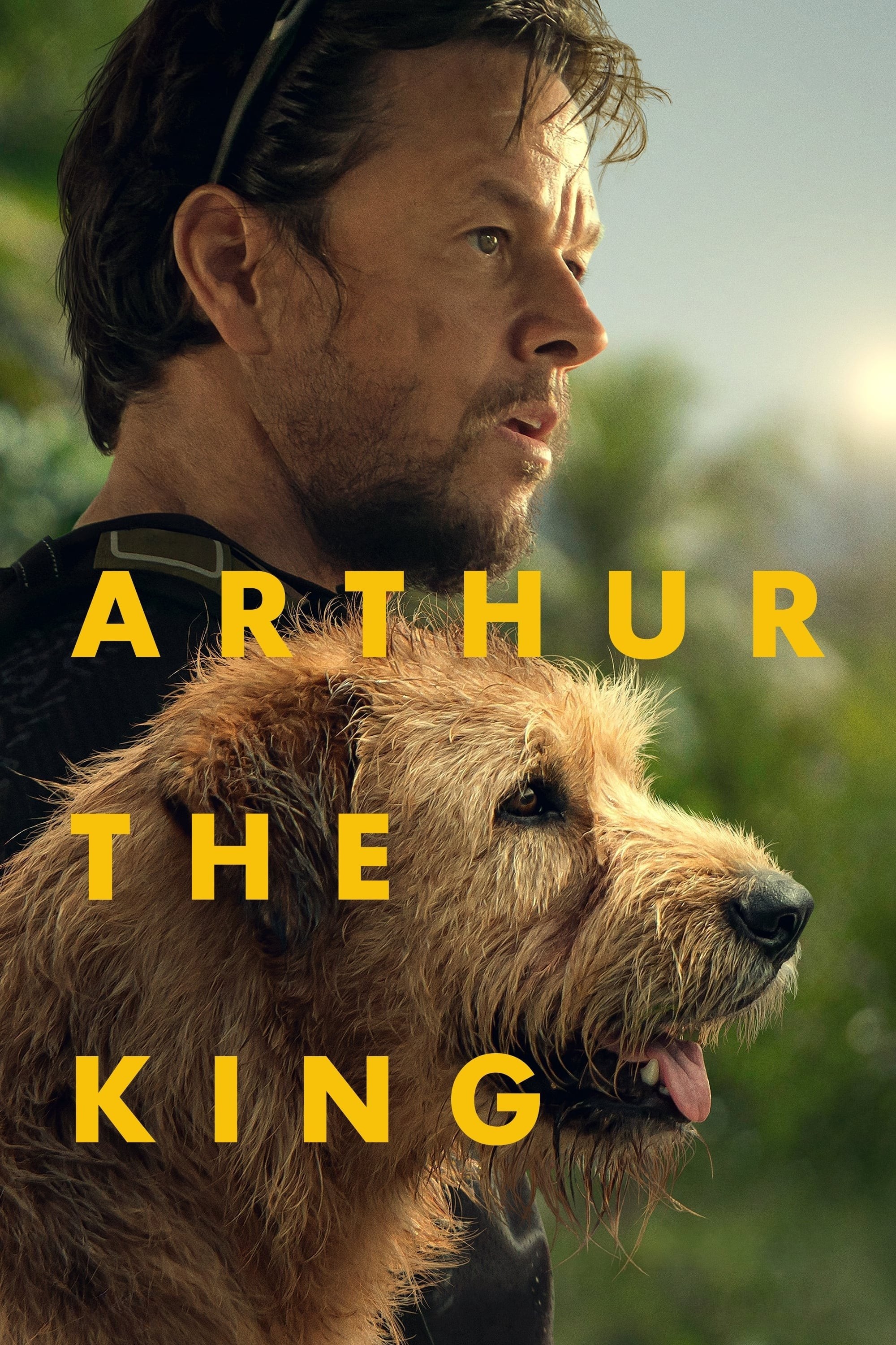 Arthur: Chú Chó Kiên Cường - Arthur the King